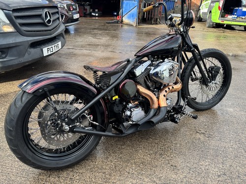 2010 Harley Davidson Hardtail