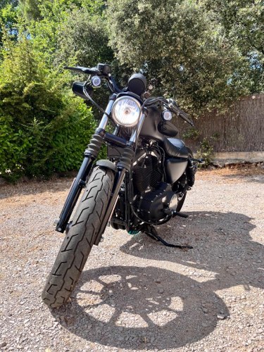 2020 Harley Davidson Sportster 883 For Sale