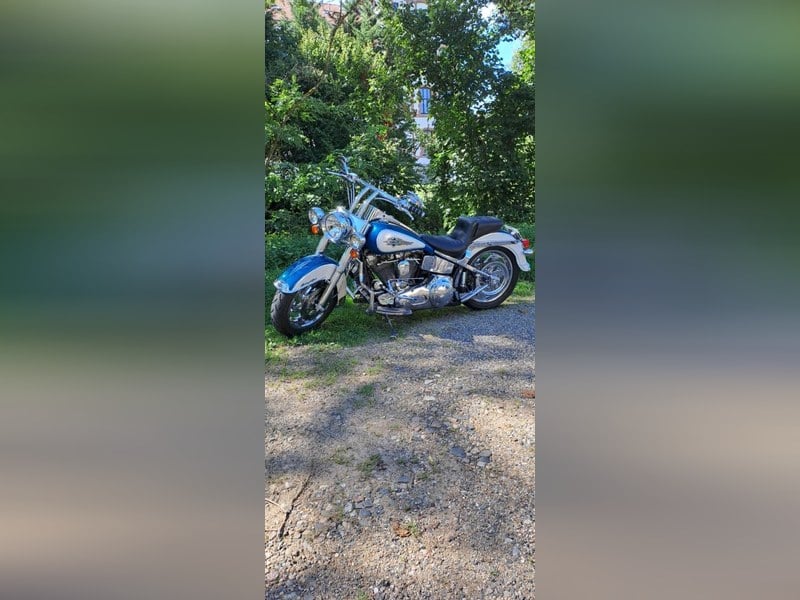 1986 Harley Davidson Softail Heritage Classic