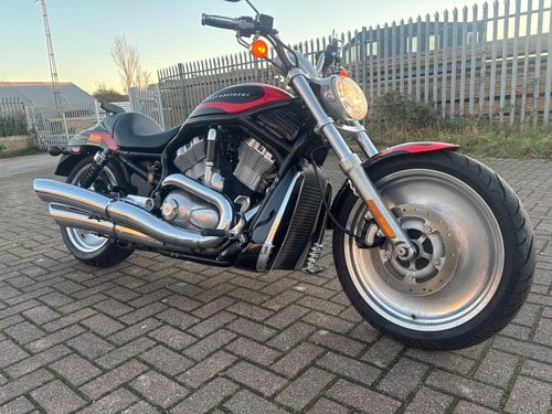 2004 Harley Davidson Vrod
