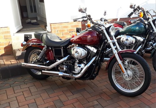 2001 Harley Davidson Dyna Low Rider