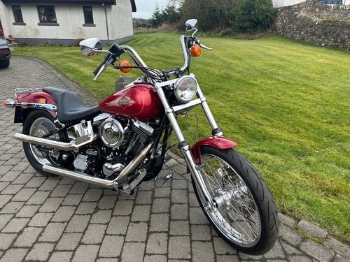 1997 Harley Davidson Softail Custom