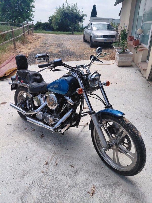 1991 Harley Davidson Softail Custom - 1 1991 Harley Davidson Softail Custom - 1