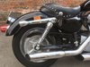 2005 Harley Davidson XL883C Sportster  For Sale