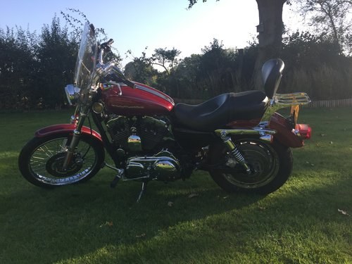 2003 Harley Davidson Sportster XL1200c VENDUTO