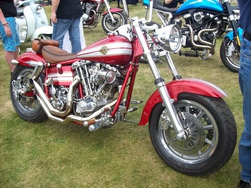 1976 Custom Bike, Show Winner In vendita