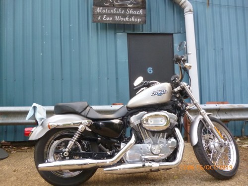 Harley Davidson XL883L 2009 In vendita