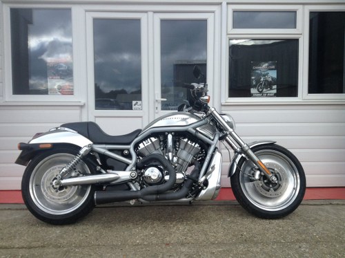 2003 Harley Davidson VRSCA V-Rod For Sale