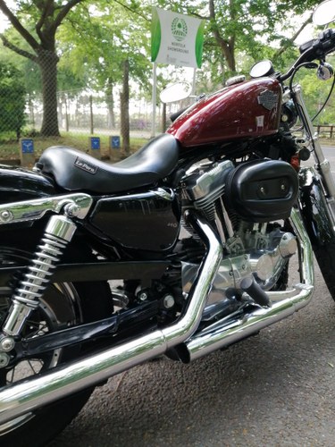2005 Harley Davidson 883.Mint cond.Low milage In vendita