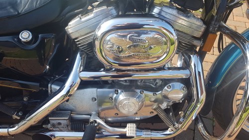 1995 Harley Davidson 883 with loads of extras may P/X For Sale