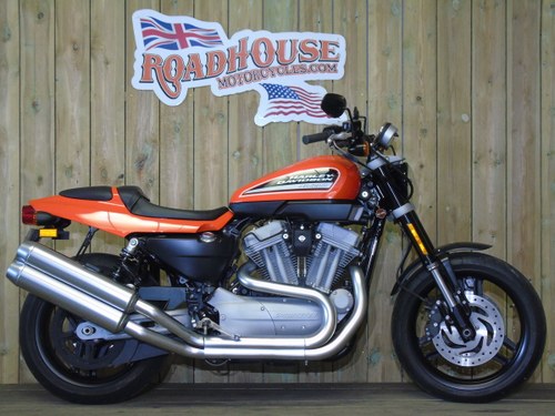 2008 Harley-Davidson XR 1200 Only 2800 Miles, 1 Owner For Sale