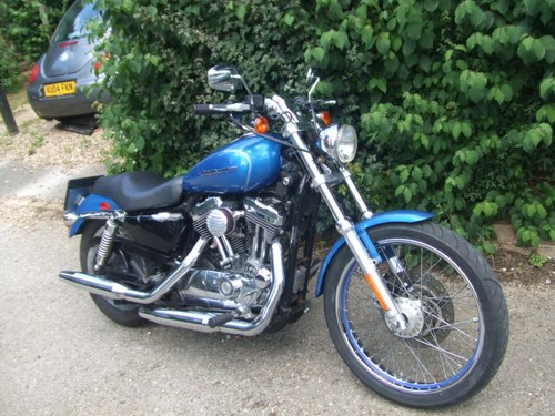 2004 Harley Davidson XL 1200 C. New MoT, 13k miles For Sale