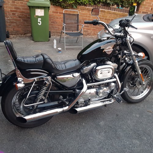 2002 Harley Davidson Sportster 1200 conversion For Sale