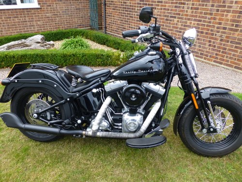 2011 Harley Cross Bones For Sale