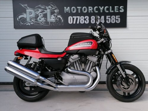 2008 Harley Davidson XR1200 Outstanding 1 owner Kaufen Bei