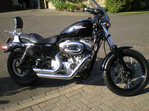 2008 Harley Davidson 1200 Sportster , 5500 Miles, Lots of extras For Sale