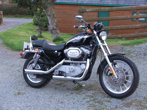 2003 Harley  XL1200 Sportster Anniversary model SOLD