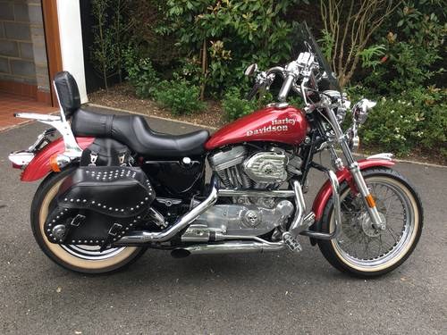 1998 Bespoke 833 Harley Davidson Sportster In vendita