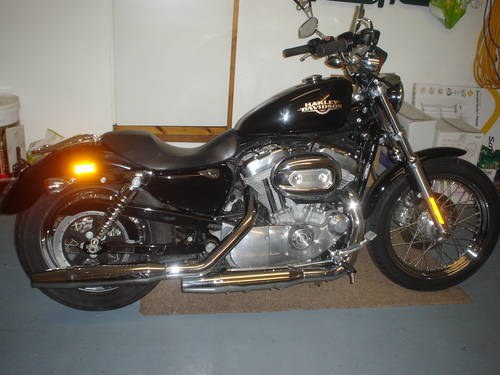 2008 Beautiful Sportster For Sale