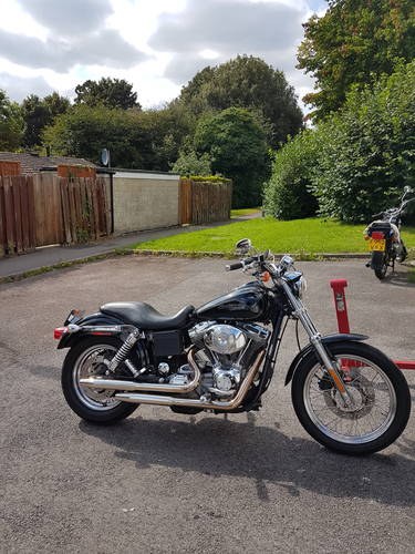 2005 harley fxdci For Sale