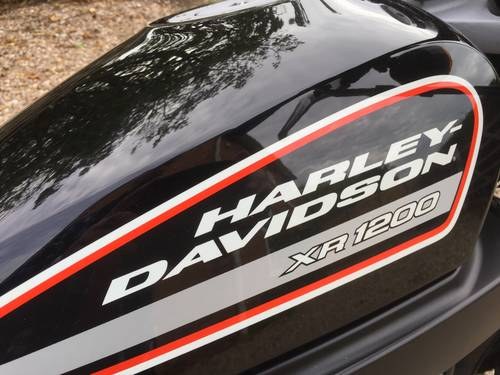 2009 Harley Davidson XR1200  For Sale