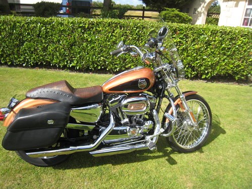 2008 Harley Davidson XL 1200 special 105th anniversary For Sale