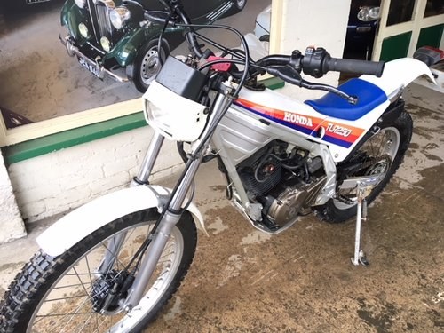 **MAY SALE** 1986 Honda TLR 250 For Sale by Auction