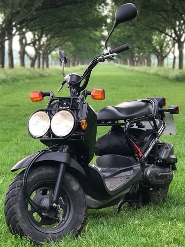 2006 Honda Zoomer NPS50 - BRILLIANT EXAMPLE Kaufen Bei