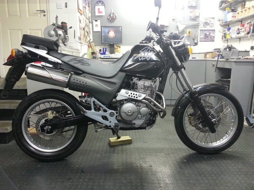 1998 Honda SLR 650 SOLD