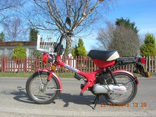 1984 HONDA EXPRESS 2,  50cc, NC50, RESTORED For Sale