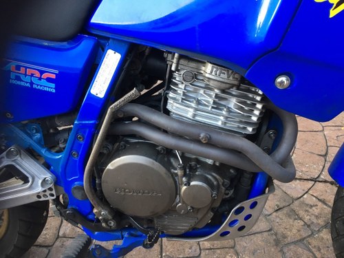 1988 Honda NX Dominator 650 VERKAUFT