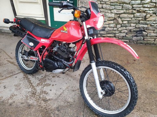 1984 Honda XL250R For Sale by Auction