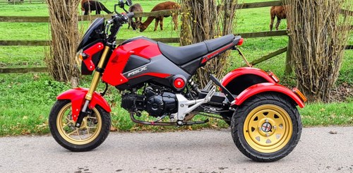 2016 Honda Grom Eurotech Trike In vendita