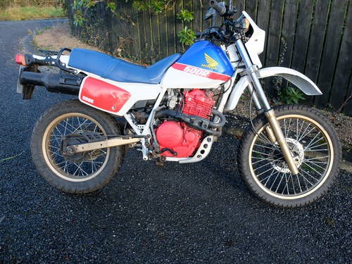 1986 FOR SALE XL600 For Sale