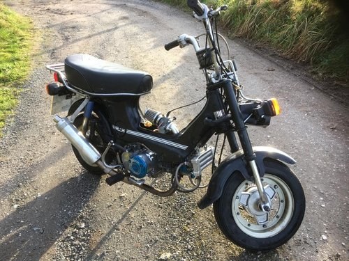 1982 Honda CF70 Chaly For Sale