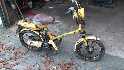 1977 Honda express NC50 express Kaufen Bei