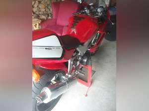 1999 Honda Vtr Firestorm 50th Anniversary Ltd Ed For Sale 1999 Honda Vtr Firestorm 50th Anniversary Ltd Ed For Sale