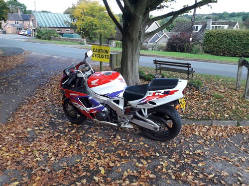 1996 Honda CBR900 RR Fireblade In vendita