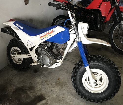 1986 Honda Tr200 fat cat