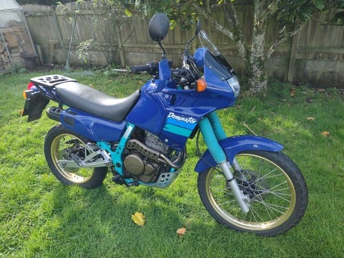 1991 Honda NX 650 Dominator