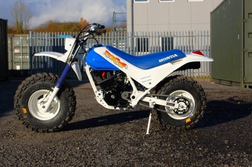 1986 Honda Fat cat TR200
