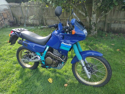 1992 Honda NX650 Dominator
