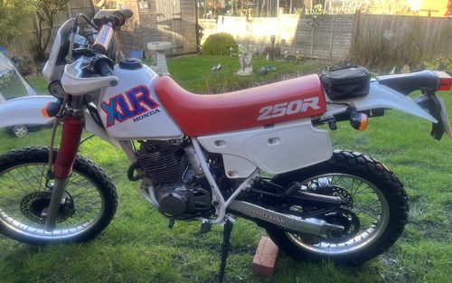 1992 Honda XL 250R (picture 1 of 10)