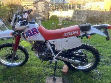 Picture of 1991 1992 Honda XL 250R - For Sale