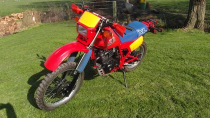 1985 Honda XL 600R