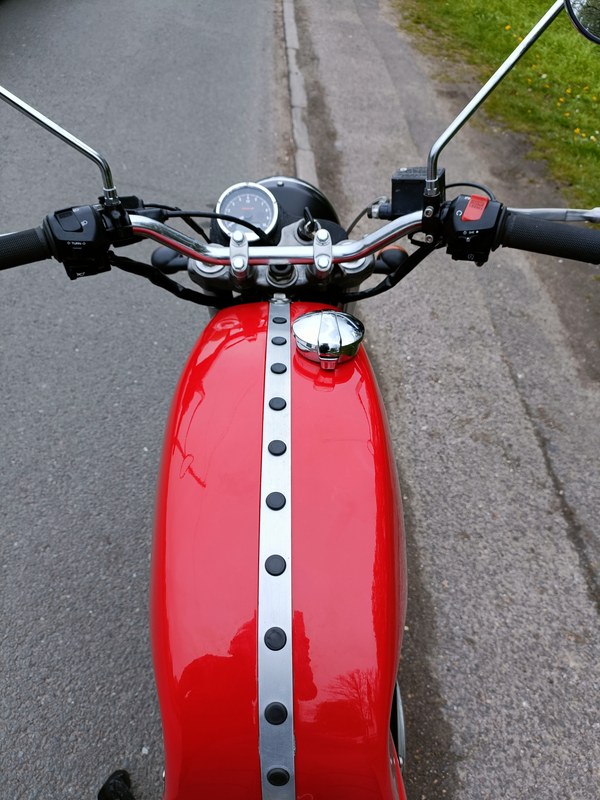 Protective Shield Logo At Walter Lawrence Blog