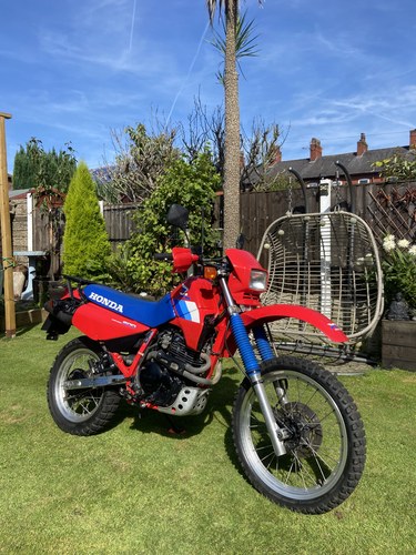 1986 Honda XL 600LM