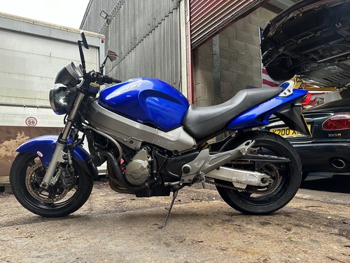 2000 Honda x11 naked blackbird, big naked beast. Swap px For Sale