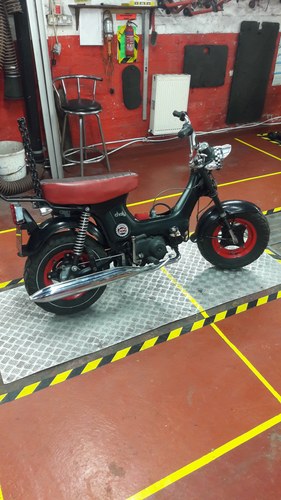 1973 Honda CF 70 Chaly similar to Dax/monkey