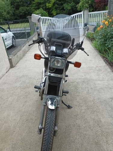 1988 HONDA VT 500 C Shadow For Sale